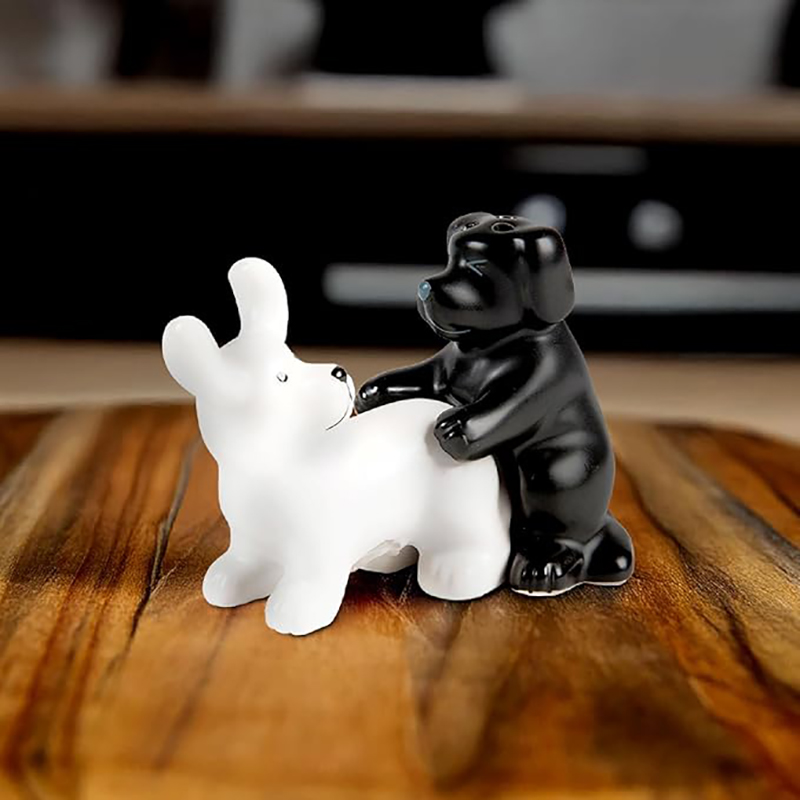 Ensemble de salière et poivriè - Kitchen Gadgets Novelty avis et prix